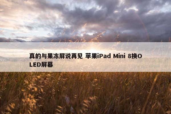 真的与果冻屏说再见 苹果iPad Mini 8换OLED屏幕