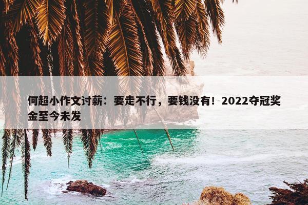 何超小作文讨薪：要走不行，要钱没有！2022夺冠奖金至今未发