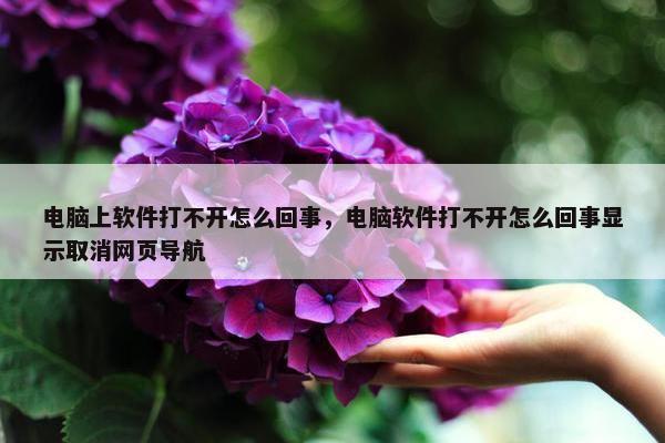 电脑上软件打不开怎么回事，电脑软件打不开怎么回事显示取消网页导航