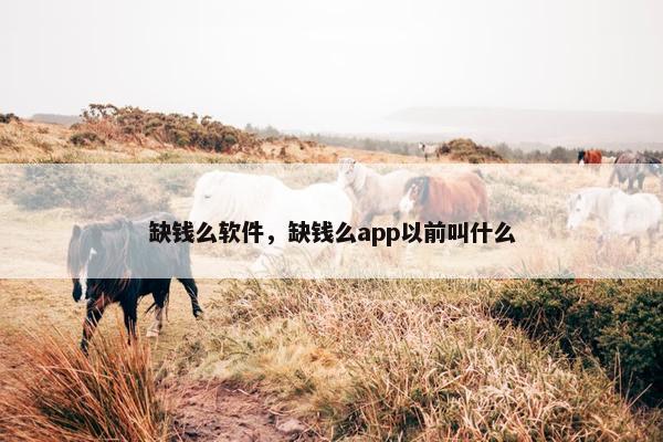 缺钱么软件，缺钱么app以前叫什么