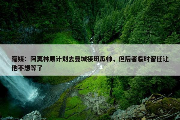 葡媒：阿莫林原计划去曼城接班瓜帅，但后者临时留任让他不想等了