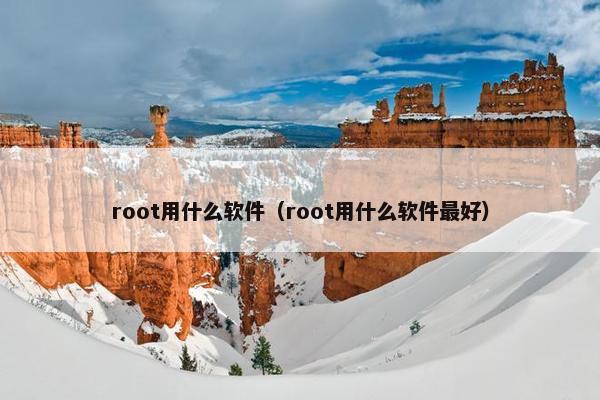 root用什么软件（root用什么软件最好）