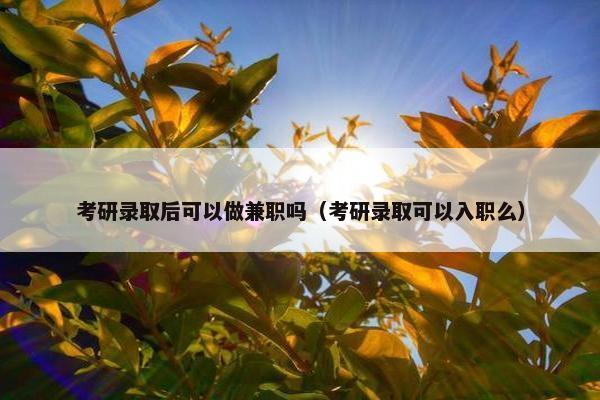 考研录取后可以做兼职吗（考研录取可以入职么）