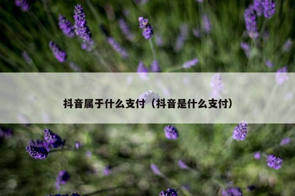 抖音属于什么支付（抖音是什么支付）