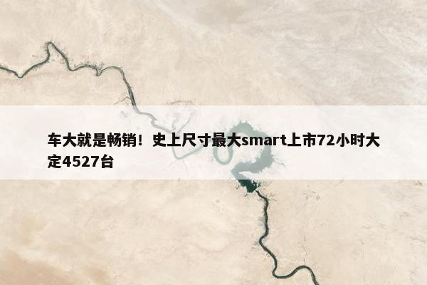 车大就是畅销！史上尺寸最大smart上市72小时大定4527台