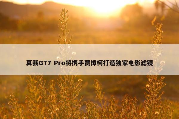 真我GT7 Pro将携手贾樟柯打造独家电影滤镜