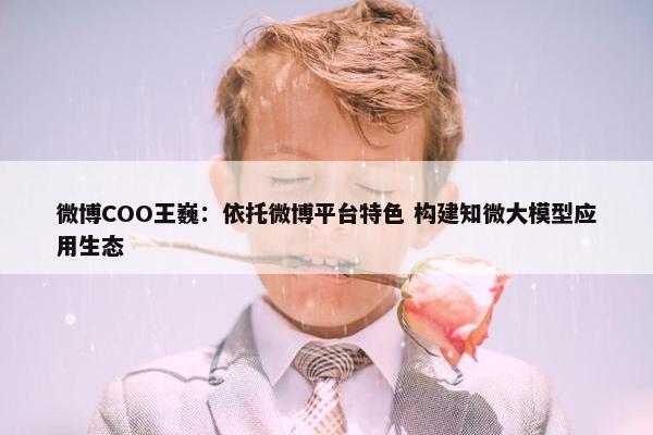 微博COO王巍：依托微博平台特色 构建知微大模型应用生态