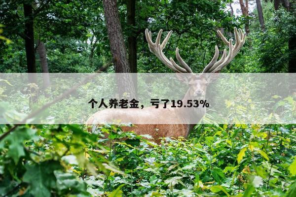 个人养老金，亏了19.53%