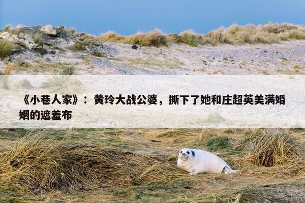 《小巷人家》：黄玲大战公婆，撕下了她和庄超英美满婚姻的遮羞布