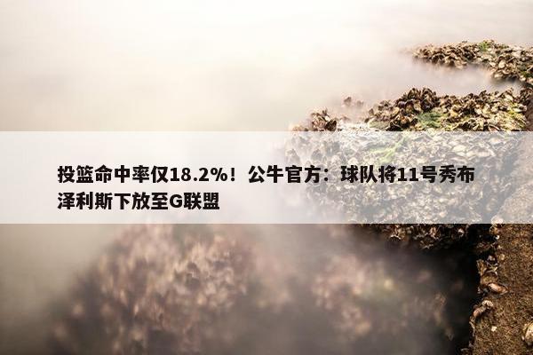 投篮命中率仅18.2%！公牛官方：球队将11号秀布泽利斯下放至G联盟