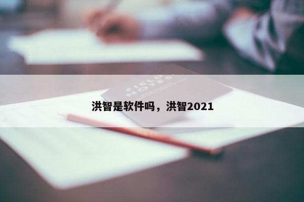 洪智是软件吗，洪智2021