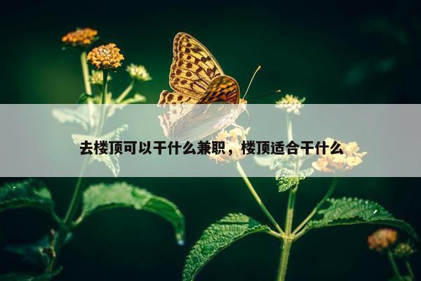 去楼顶可以干什么兼职，楼顶适合干什么