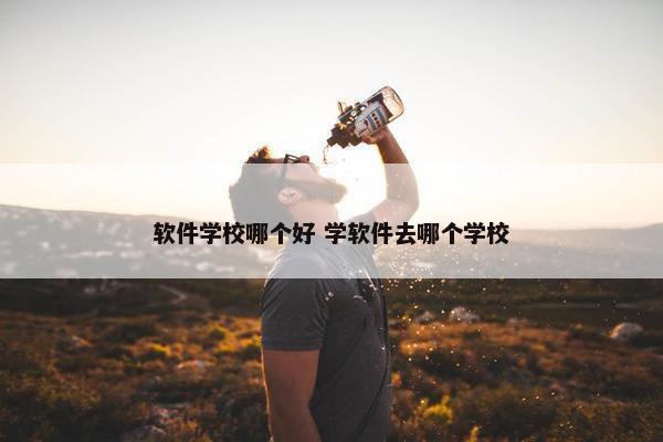 软件学校哪个好 学软件去哪个学校