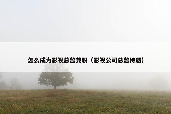 怎么成为影视总监兼职（影视公司总监待遇）