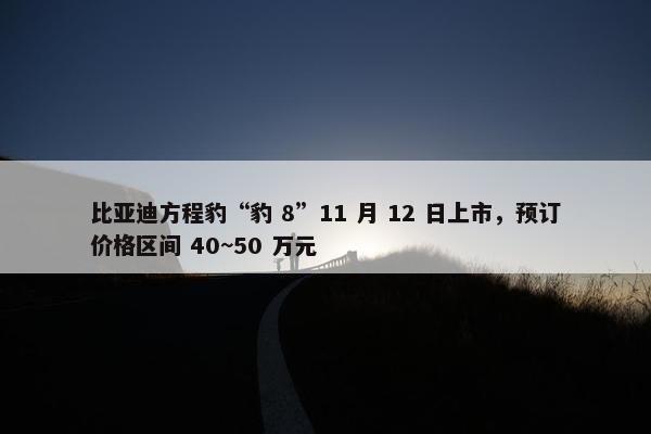 比亚迪方程豹“豹 8”11 月 12 日上市，预订价格区间 40~50 万元