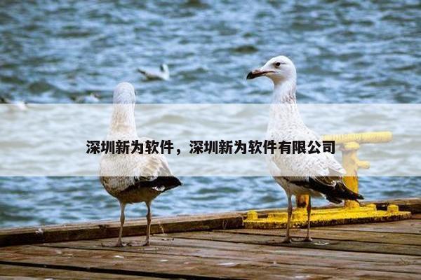 深圳新为软件，深圳新为软件有限公司