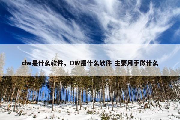 dw是什么软件，DW是什么软件 主要用于做什么