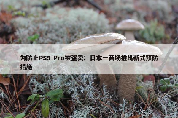 为防止PS5 Pro被盗卖：日本一商场推出新式预防措施