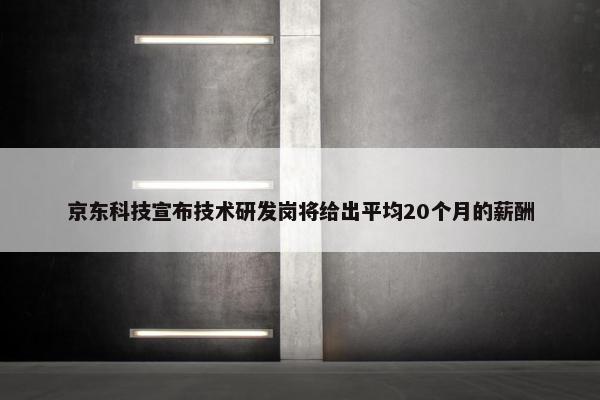 京东科技宣布技术研发岗将给出平均20个月的薪酬