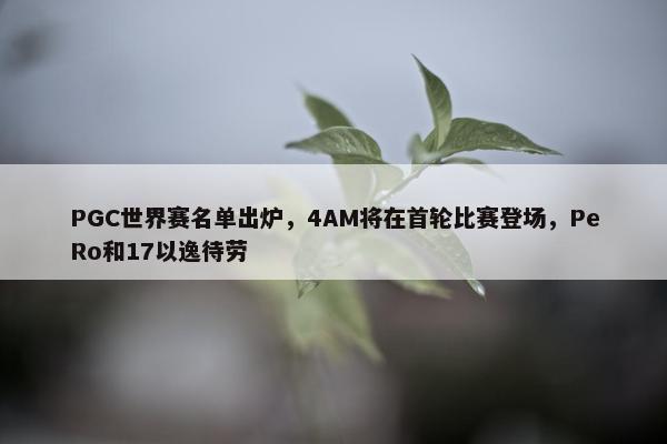 PGC世界赛名单出炉，4AM将在首轮比赛登场，PeRo和17以逸待劳