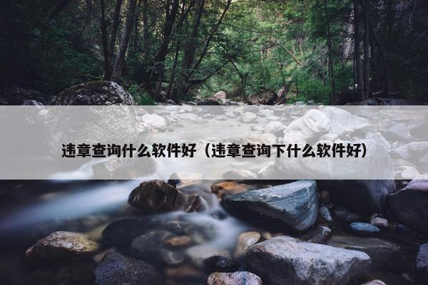 违章查询什么软件好（违章查询下什么软件好）