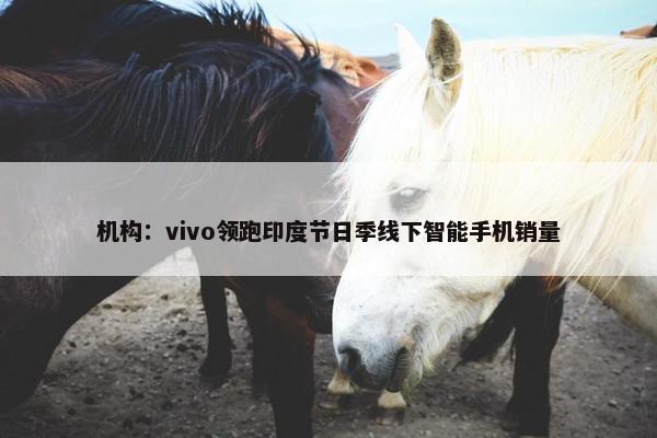 机构：vivo领跑印度节日季线下智能手机销量