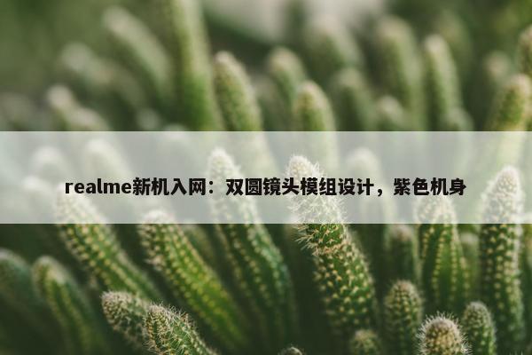 realme新机入网：双圆镜头模组设计，紫色机身