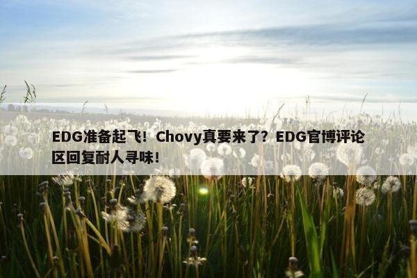 EDG准备起飞！Chovy真要来了？EDG官博评论区回复耐人寻味！