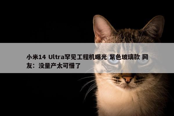 小米14 Ultra罕见工程机曝光 紫色玻璃款 网友：没量产太可惜了