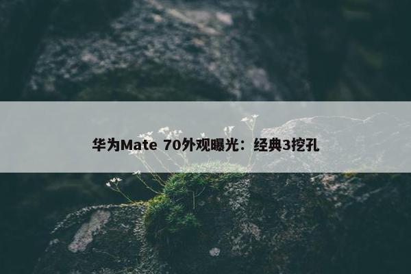 华为Mate 70外观曝光：经典3挖孔