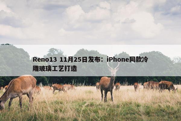 Reno13 11月25日发布：iPhone同款冷雕玻璃工艺打造