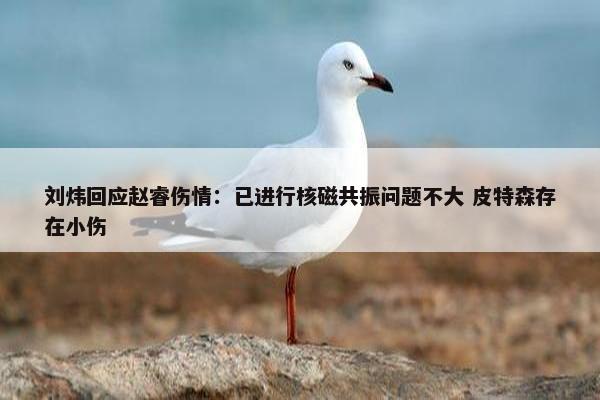 刘炜回应赵睿伤情：已进行核磁共振问题不大 皮特森存在小伤