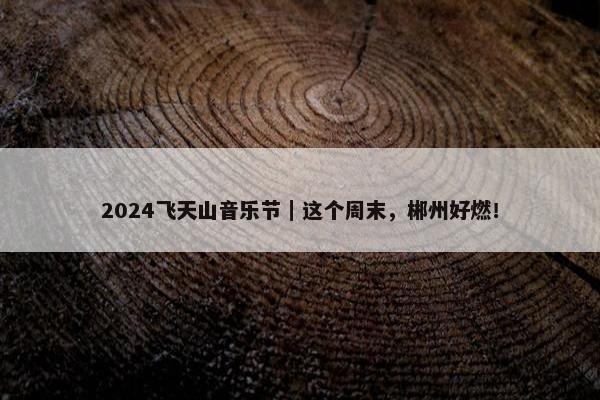 2024飞天山音乐节｜这个周末，郴州好燃！