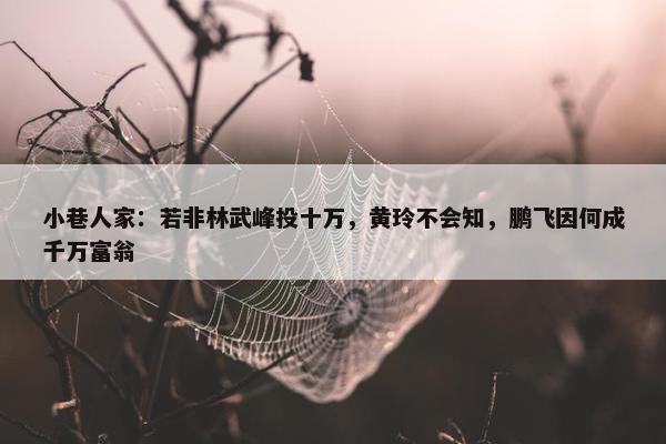 小巷人家：若非林武峰投十万，黄玲不会知，鹏飞因何成千万富翁