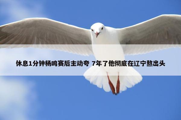 休息1分钟杨鸣赛后主动夸 7年了他彻底在辽宁熬出头