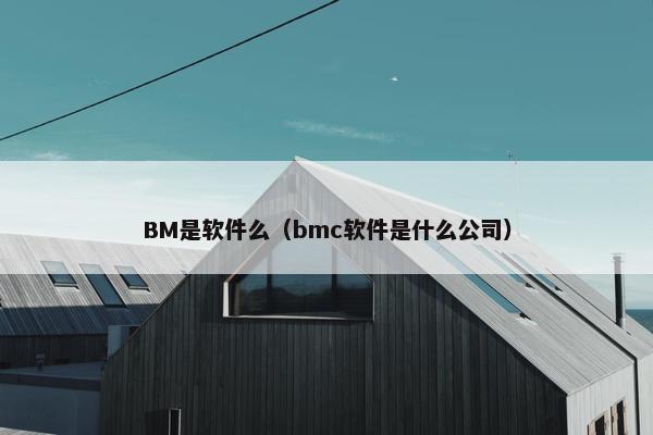 BM是软件么（bmc软件是什么公司）