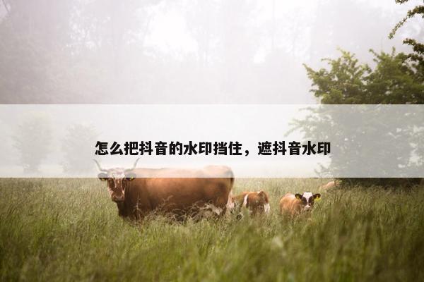 怎么把抖音的水印挡住，遮抖音水印