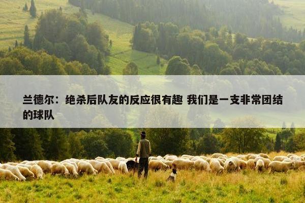 兰德尔：绝杀后队友的反应很有趣 我们是一支非常团结的球队