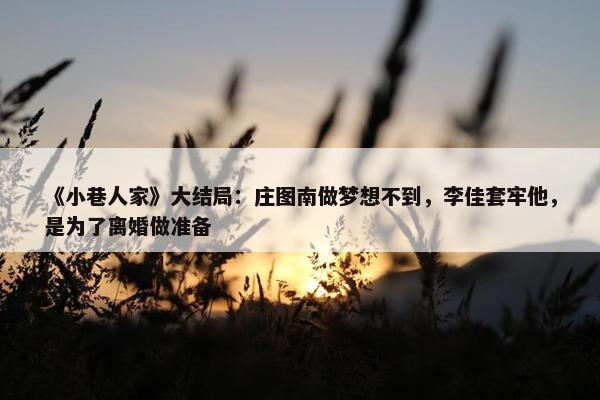 《小巷人家》大结局：庄图南做梦想不到，李佳套牢他，是为了离婚做准备