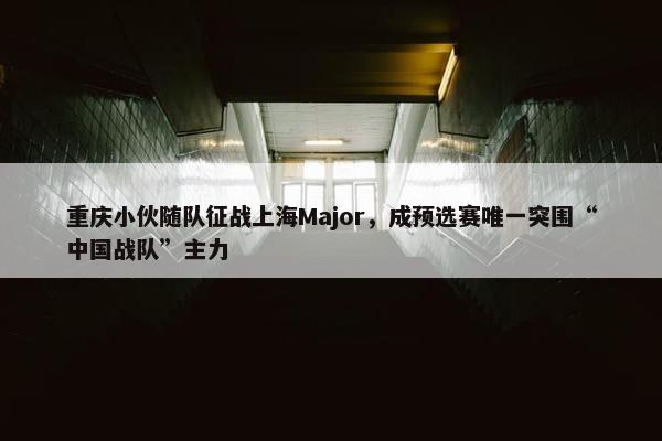 重庆小伙随队征战上海Major，成预选赛唯一突围“中国战队”主力