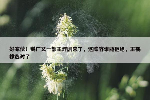 好家伙！鹅厂又一部王炸剧来了，这阵容谁能拒绝，王鹤棣选对了