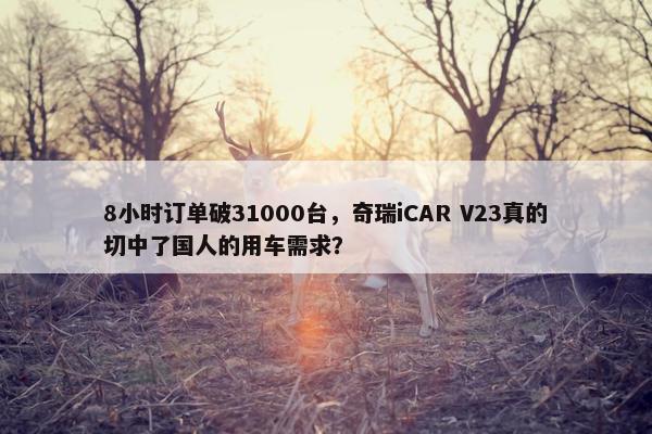 8小时订单破31000台，奇瑞iCAR V23真的切中了国人的用车需求？