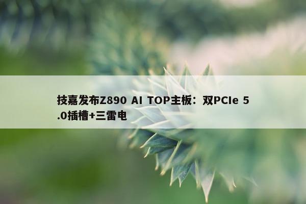 技嘉发布Z890 AI TOP主板：双PCIe 5.0插槽+三雷电