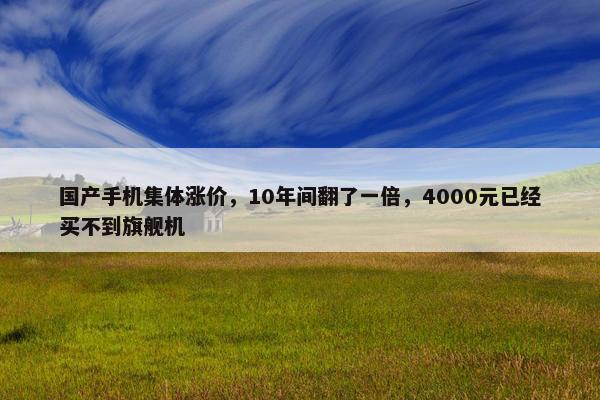 国产手机集体涨价，10年间翻了一倍，4000元已经买不到旗舰机