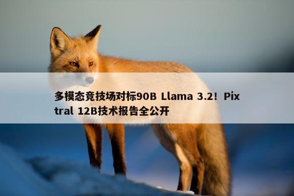 多模态竞技场对标90B Llama 3.2！Pixtral 12B技术报告全公开