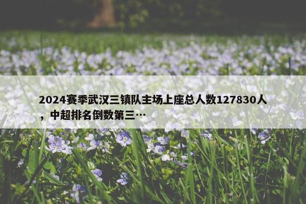 2024赛季武汉三镇队主场上座总人数127830人，中超排名倒数第三…