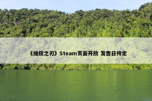 《维兹之刃》Steam页面开放 发售日待定