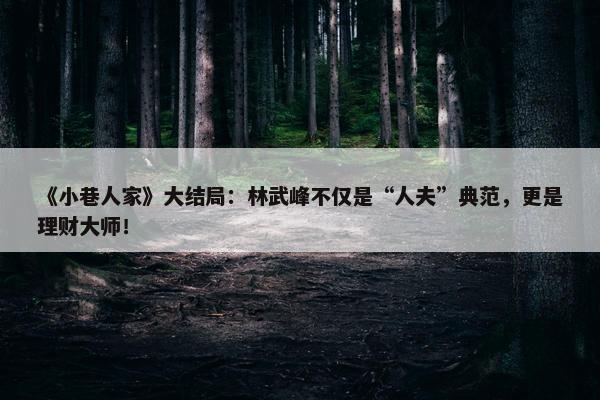 《小巷人家》大结局：林武峰不仅是“人夫”典范，更是理财大师！