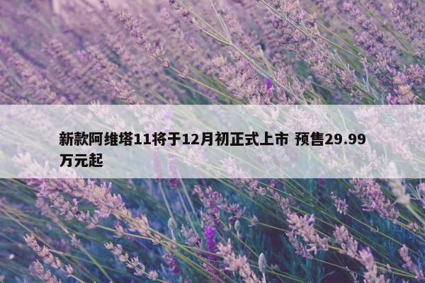 新款阿维塔11将于12月初正式上市 预售29.99万元起