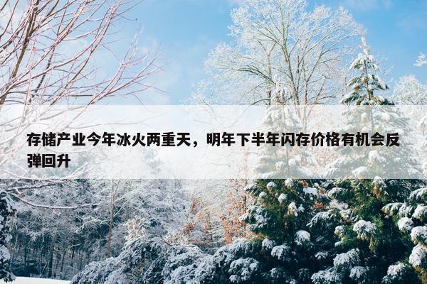 存储产业今年冰火两重天，明年下半年闪存价格有机会反弹回升